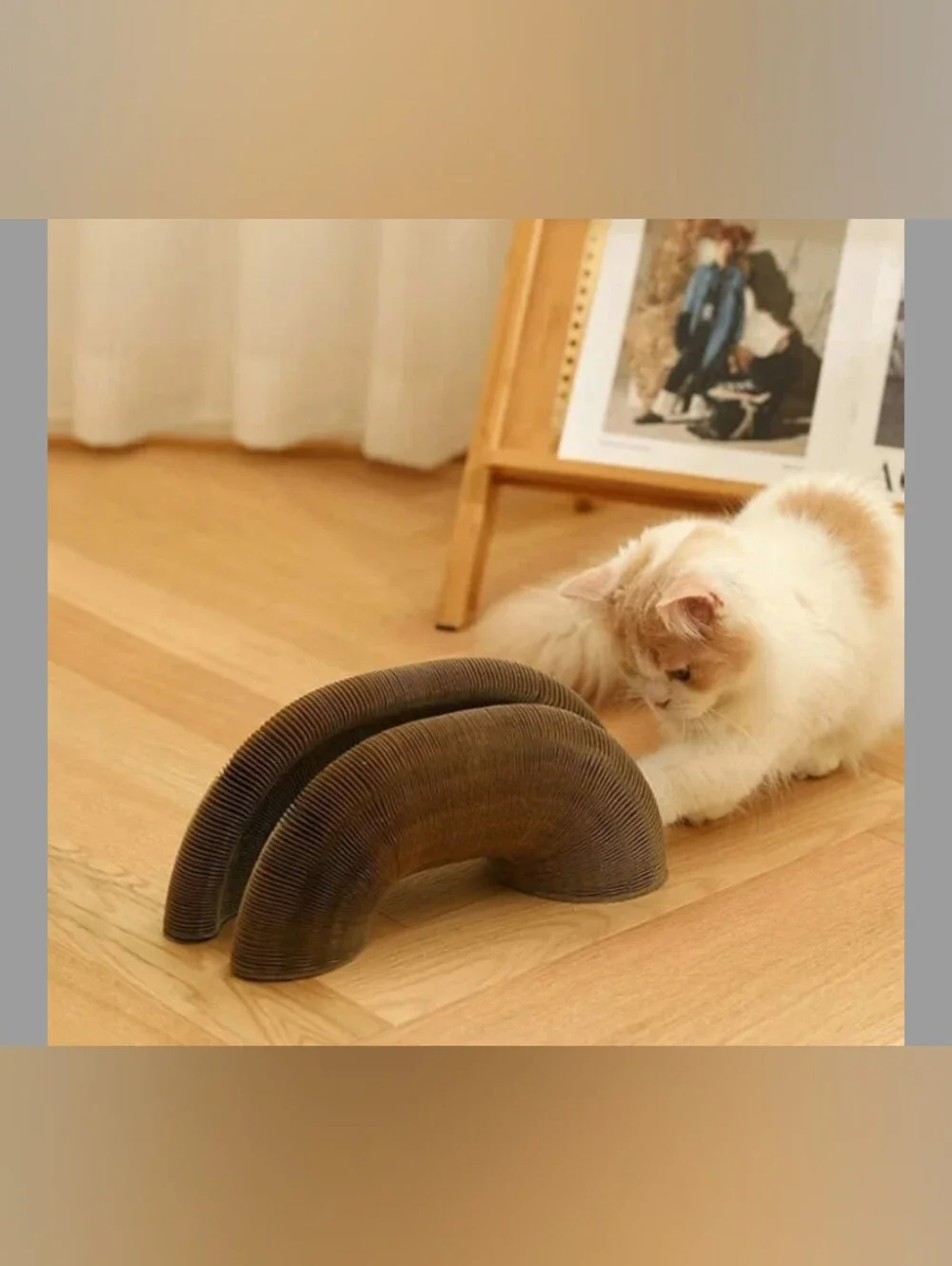 Interactive 😺  Toy & Cardboard Cat Scratcher Set of 2